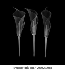  transparent floral calla lilies black   white illustration hand drawn isolated black background  chalk board  x  ray leaves pistils  stamens  botanical drawing floral structure