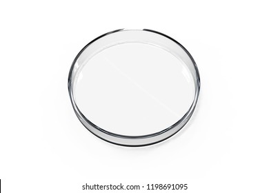 Transparent Glass Petri Dishes On White Background. Top View. 3D Rendering