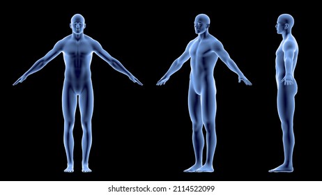 Transparent male Body, Medical Animation X-Ray Body Scan isolated on a black background. 3d rendering