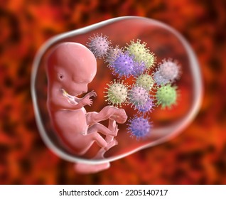 Transplacental Transmission Of Cytomegalovirus (CMV) And Other Viruses To Human Embryo, Conceptual 3D Illustration