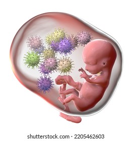 Transplacental Transmission Of Cytomegalovirus (CMV) And Other Viruses To Human Embryo, Conceptual 3D Illustration