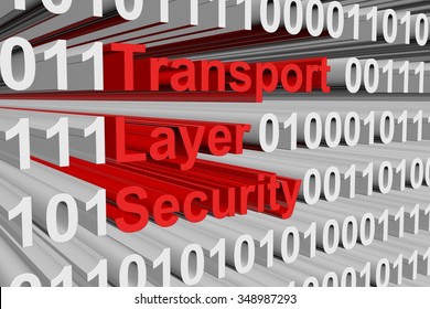 Transport Layer Security In The Form Of Binary Code, 3D Illustration