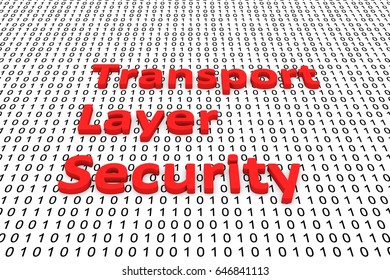 Transport Layer Security In The Form Of Binary Code, 3D Illustration
