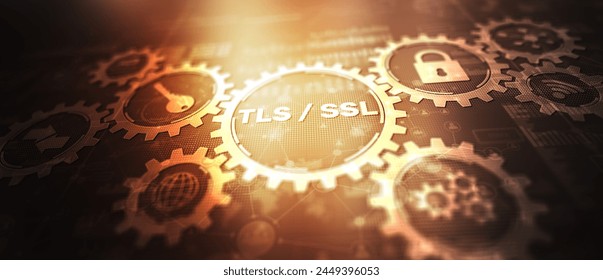 Transport Layer Security. Secure Socket Layer. TLS SSL. Mixed Media