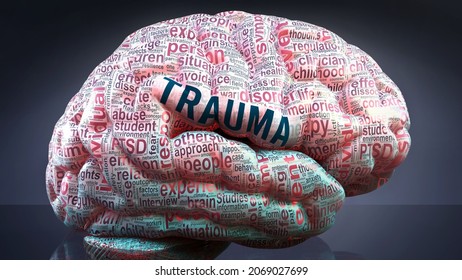 Trauma in human brain, hundreds of crucial terms related to Trauma projected onto a cortex to show broad extent of this condition  and to explore important concepts linked to Trauma, 3d illustration