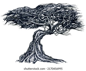 Tree, Bonsai Deciduous. Free Style. Branchy Tree, Ink Drawing.	