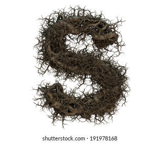 970 Tree root font Images, Stock Photos & Vectors | Shutterstock