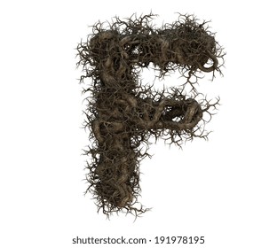 970 Tree root font Images, Stock Photos & Vectors | Shutterstock