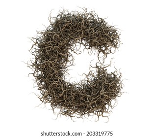 28,962 Alphabet in branches Images, Stock Photos & Vectors | Shutterstock