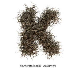 970 Tree root font Images, Stock Photos & Vectors | Shutterstock