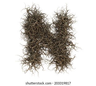 28,962 Alphabet in branches Images, Stock Photos & Vectors | Shutterstock