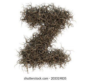 Tree Branch Alphabet Set 2 Stock Illustration 203319835 | Shutterstock