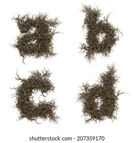 970 Tree root font Images, Stock Photos & Vectors | Shutterstock