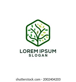 Tree Branch Polygon Leaf Tree Logo Template