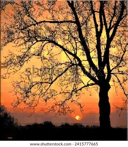 Similar – morning Deciduous tree