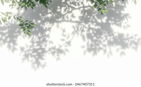 Tree branches shadow sunlight shade nature, 3D render isolated white backgrounds, forest, silhouette, foliage, outdoor, environment.
