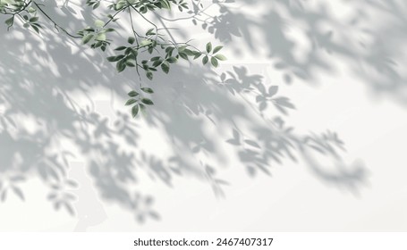 Tree branches shadow sunlight shade nature, 3D render isolated white backgrounds, forest, silhouette, foliage, outdoor, environment.