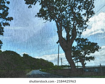 A tree by the road