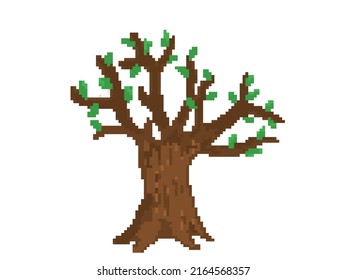 A Tree In Different Seasons Of The Year. Seasonal Crown Of Trees. Pixel Art Tree.