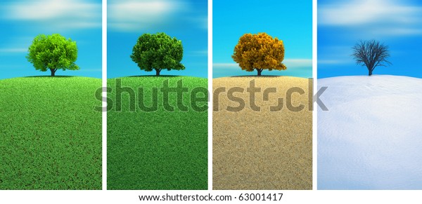 Tree Four Seasons 3d Render 스톡 일러스트 63001417 5642