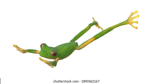 Tree Frog 3D Illustration On White Background