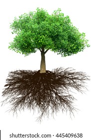 Tree And Grass 3D Illustration