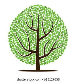 Tree Green Leaves Isolated On White Stock Illustration 613129658 ...