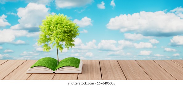 Open Book Sea Island Palm Trees Stock Photo 604749818 | Shutterstock