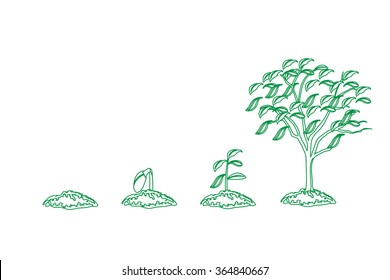 Tree growth - Shutterstock ID 364840667