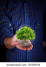 tree in hands. ecology concept