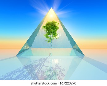 Tree Inside A Crystal Pyramid