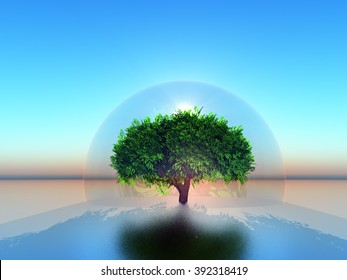 a tree inside a transparent bubble
