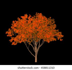 Tree Isolated on Black background, 3D Illustration.