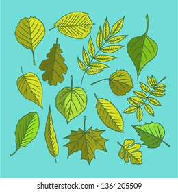 Tree Leaves Colorful Illustrations Vector Illustration Stock Vector ...