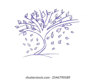 tree   leaves