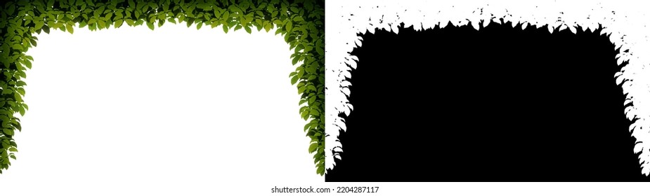 Tree Leaves Frame Isolated On White Background With Clipping Path And Alpha Channel For Design Work And Creativity. Horizontal Format. Digital Illustration