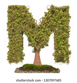 Tree letter M. Tree in shaped of letter M, 3D rendering isolated on white background