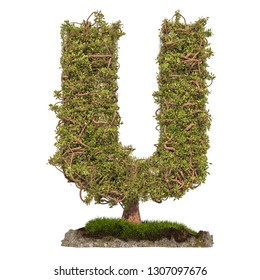 Tree letter U. Tree in shaped of letter U, 3D rendering isolated on white background