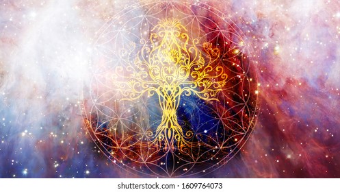 tree of life symbol and flower of life and space background with ornaments, yggdrasil.