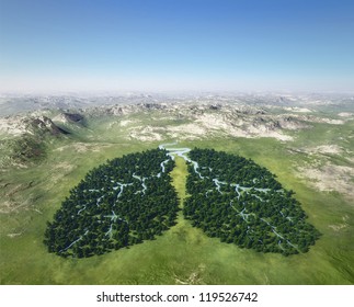 Tree looks like lungs