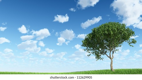 Tree on the grass with Sky Background