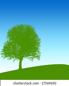 tree on hill