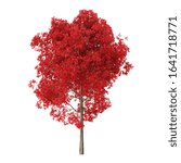 Tree on a white background. Tree with red foliage. Clipping path included. 3D rendering.
