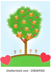 Tree Owls