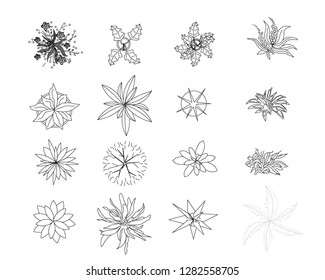 Trees Autocad Images, Stock Photos & Vectors | Shutterstock