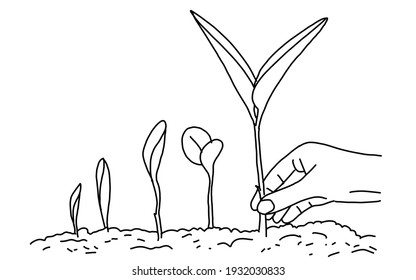 Tree Plantation Line Art Illustration 