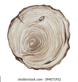 Tree Rings Background, Hand Watercolor Drawn