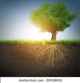 tree with roots 