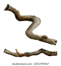 Tree roots, branches, twigs or trunks watercolor illustration set isolated on white background. Hand drawn forest nature clipart