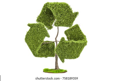 Tree In The Shape Of Recycle Symbol, 3D Rendering Isolated On White Background